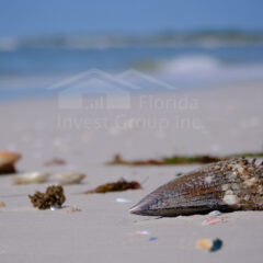 Cape Coral Florida Beach