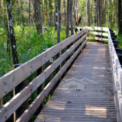 Cape Coral Florida State Park