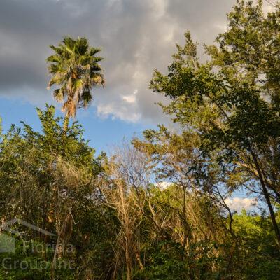 Four Mile Cove Ecological Preserve Cape Coral Florida 10