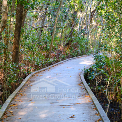 Four Mile Cove Ecological Preserve Boardwalk Curved Cape Coral Florida