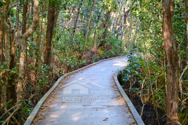 Four Mile Cove Ecological Preserve Boardwalk Curved Cape Coral Florida