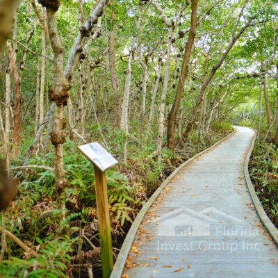 Four Mile Cove Ecological Preserve Boardwalk Info Cape Coral Florida