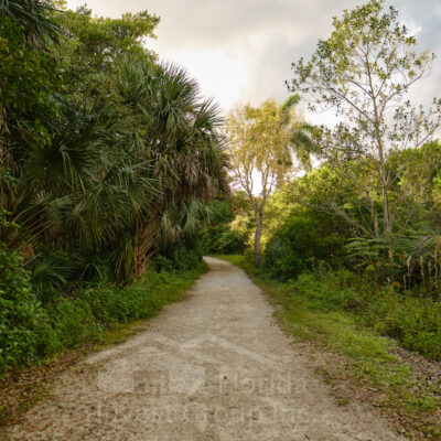 Four Mile Cove Ecological Preserve Trail Cape Coral Florida