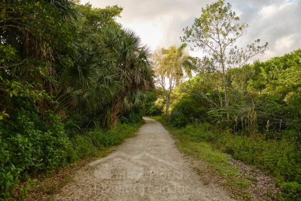 Four Mile Cove Ecological Preserve Trail Cape Coral Florida