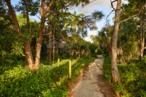 Four Mile Cove Ecological Preserve Cape Coral Florida 16
